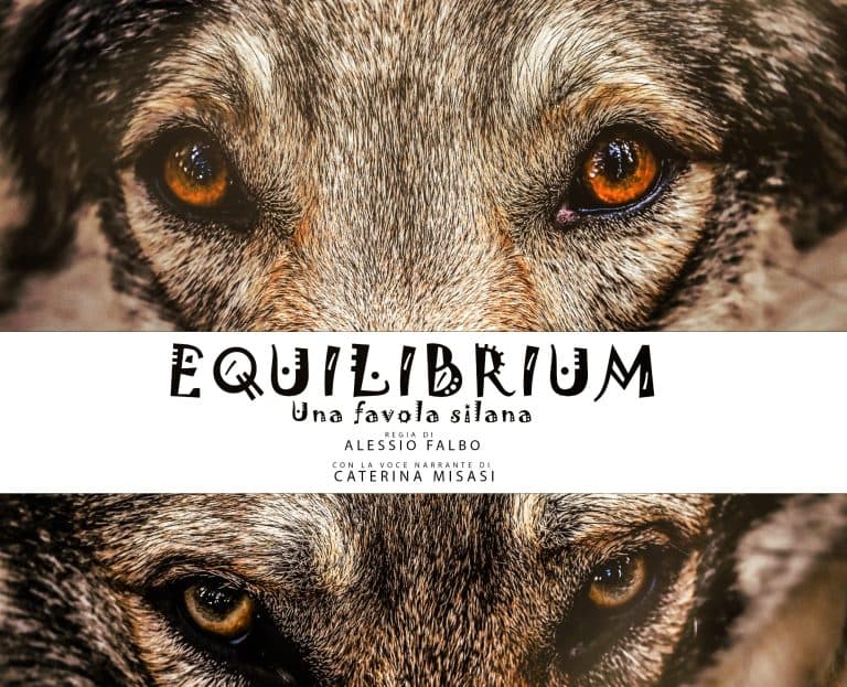 Equilibrium